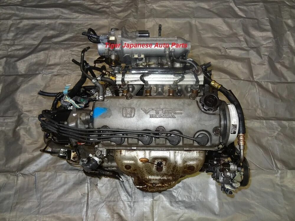 Honda d16a. Мотор d16a VTEC. Двигатель Honda d16a. Двигатель Хонда d16w1. D16a SOHC.