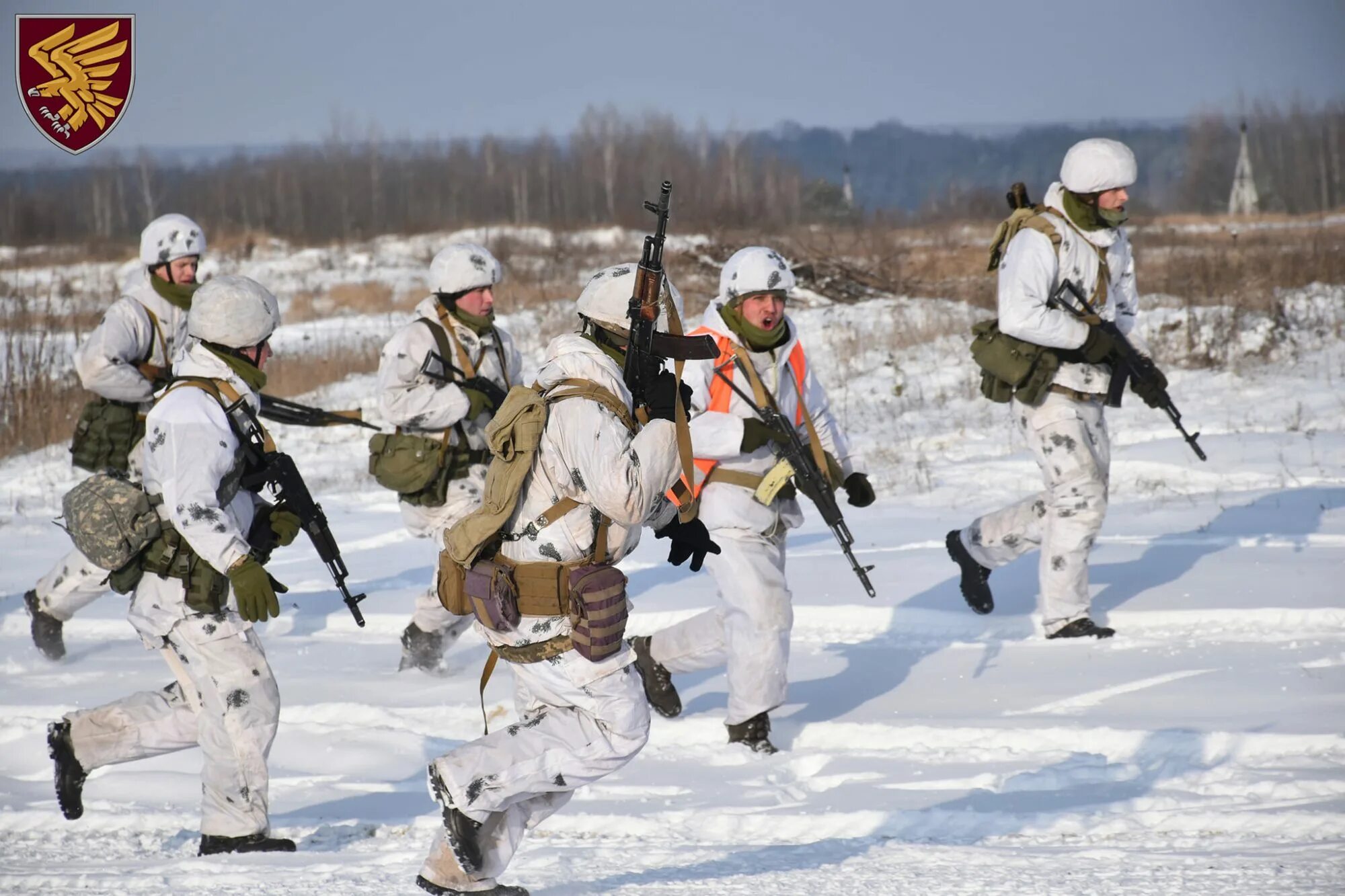 Новороссийск десант штурмовая дивизия. Десантно-штурмовые воинские части. Десант войска. Десантно-штурмовые войска. Штурмовые десантники.