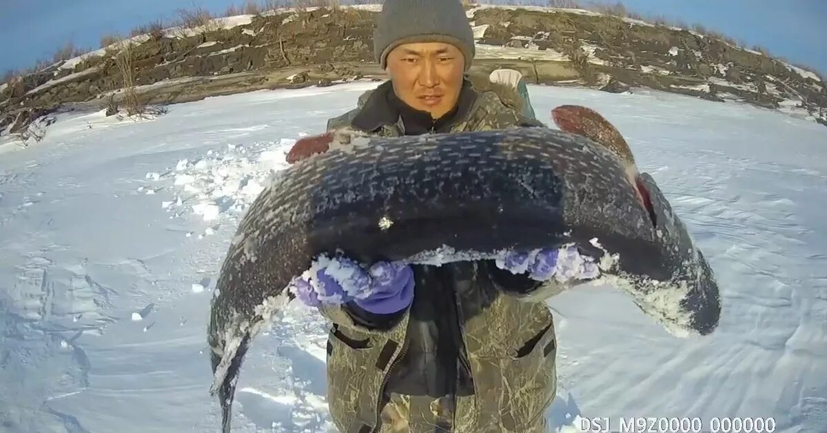 Зимняя рыбалка в Якутии. Щука в Якутии. Зимняя рыбалка на щуку в Якутии. Рыбалка в Якутии зимой.