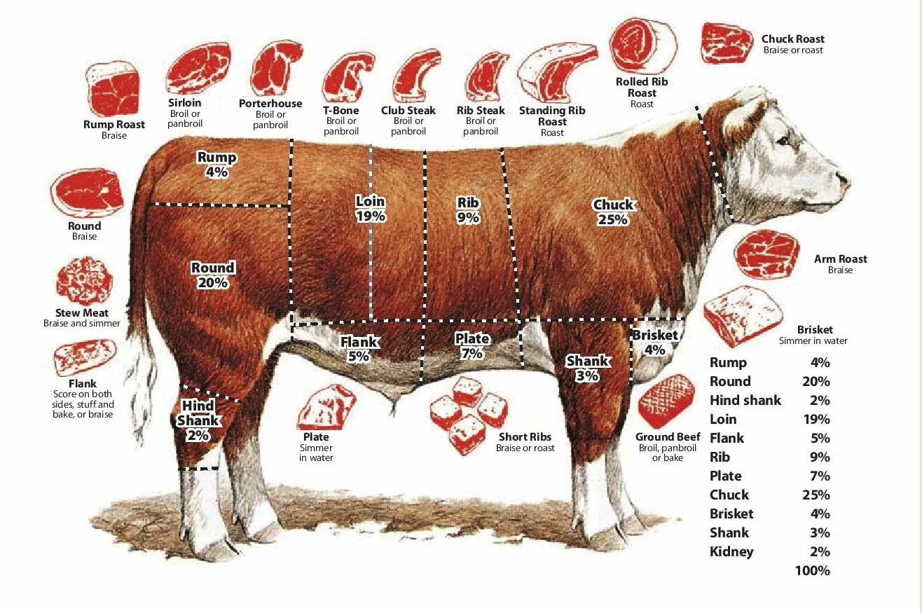 Рибай на схеме коровы. Части туши говядины Рибай. Стейк Рибай часть туши. Рибай на схеме разделки говяжьей туши. Лучшая часть мяса говядины