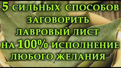 Заговор на лавровых