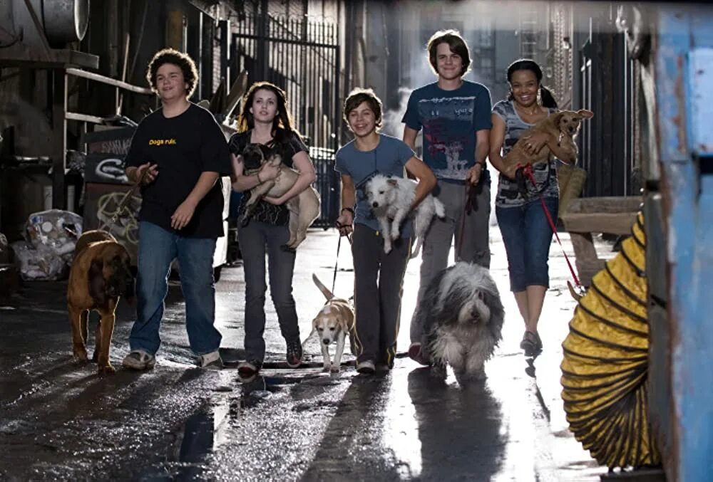 2 movies dog. Джош лукас рыжий пес. Собачья жизнь 2 бейли. Собачья жизнь бейли. 2 movies dog.