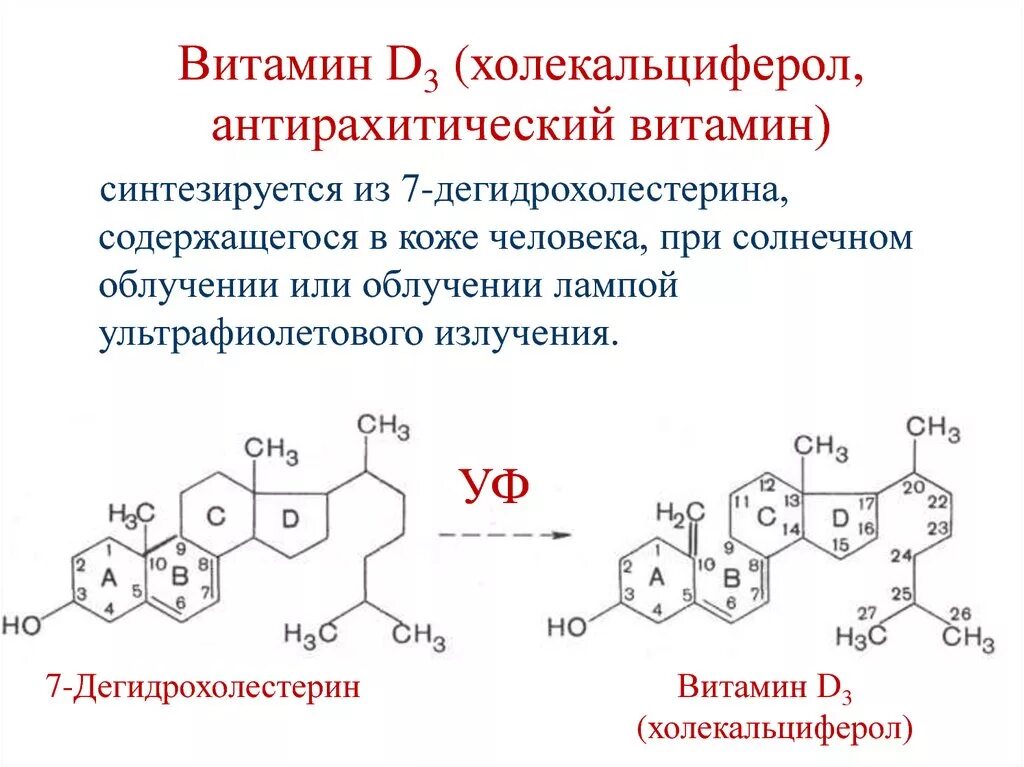 Витамин д2 и д3. Структура витамина д3. Витамин д 2 эргокальциферол формула. Витамин д3 холекальциферол. Витамин д2 функции.