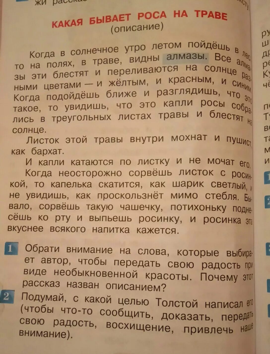 Маленький рассказ рассуждение. Придумай свой рассказ с описанием. Рассказ описание. Рассказ описание 3 класс. Свой рассказ с описанием или с рассуждением.