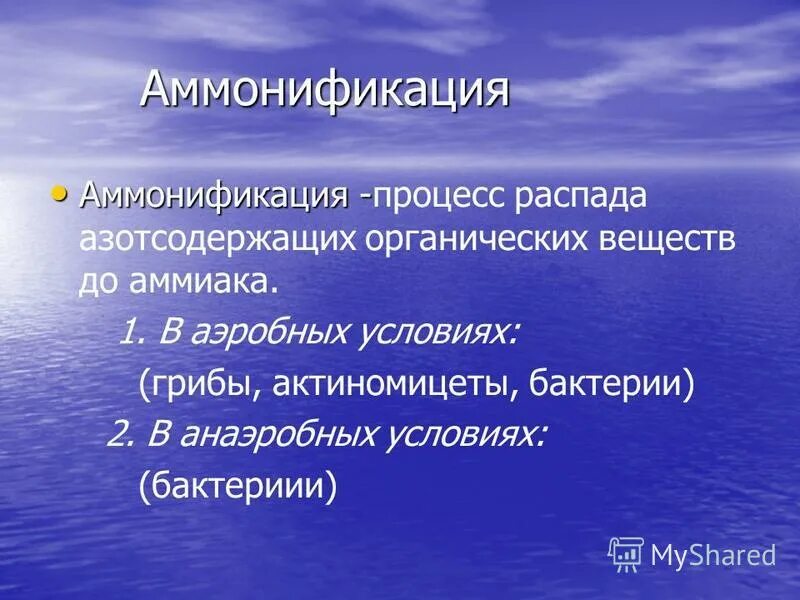 Аммонификация. Возбудители процесса аммонификации. Сущность процесса аммонификации. Аммонификация в аэробных и анаэробных условиях.