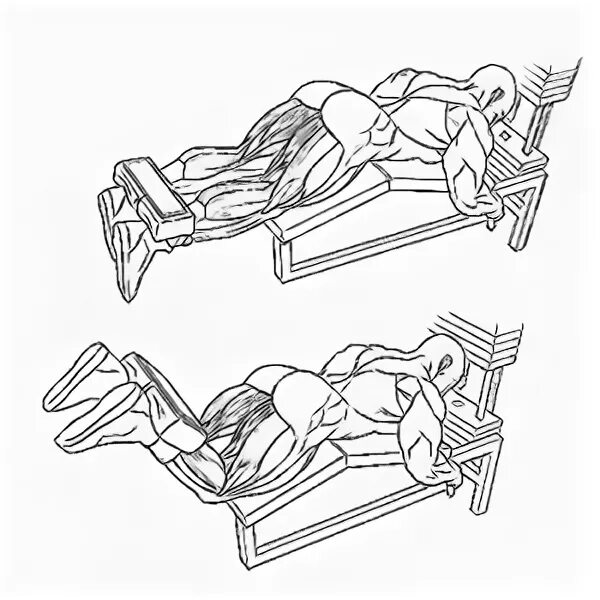 Разгибание ног в тренажере лежа на животе техника. Сгибание голени лежа в тренажере техника. Сгибание ног лежа в тренажере. Разгибание ног в тренажере лежа техника. Разгибание ног лежа