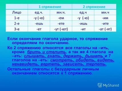 Яркое род число