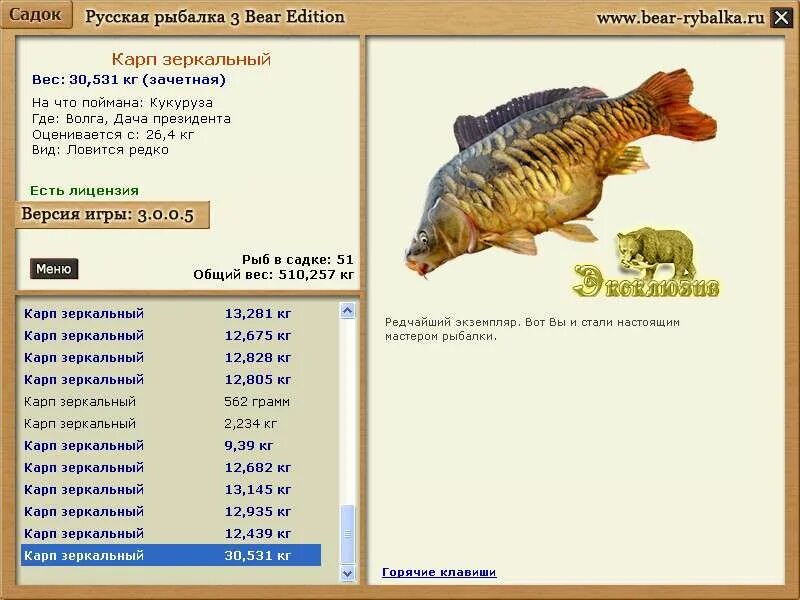 Карп русская рыбалка 3. Русская рыбалка 3 Ахтуба Карп зеркальный. Русская рыбалка 3 Ахтуба Карп. Озеро Карп зеркальный русская рыбалка 3. Русская рыбалка 3 Bear Edition.