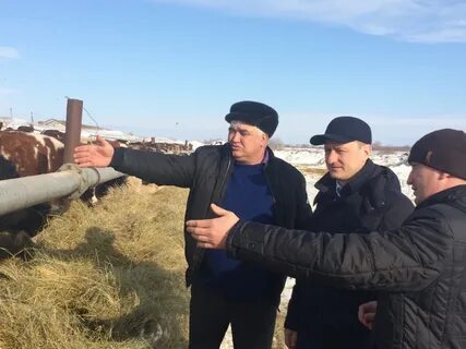 Георгиевка последние новости