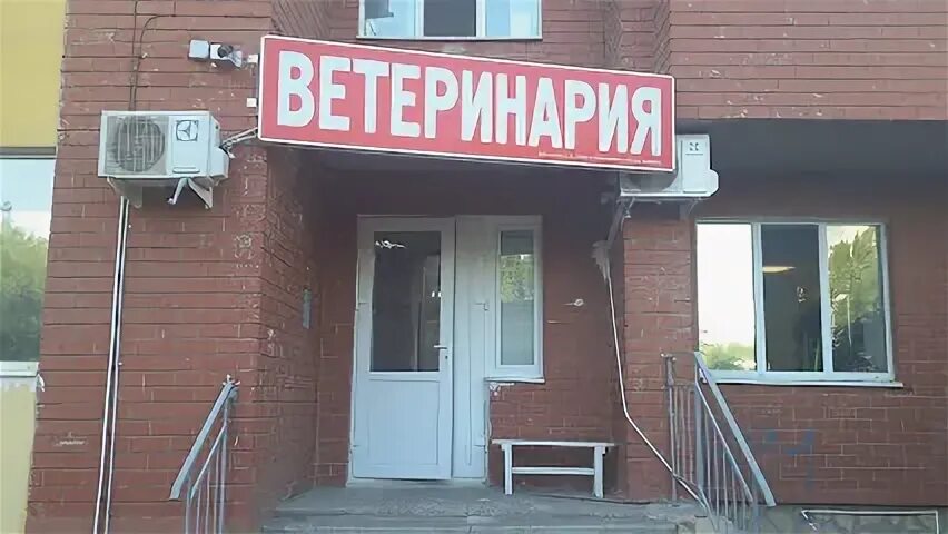 Холод сити оренбург. Зоомагазин оренбург. Зверёк сити оренбург ветклиника. Зверёк сити оренбург ветклиника. Ветклиника на просторной.