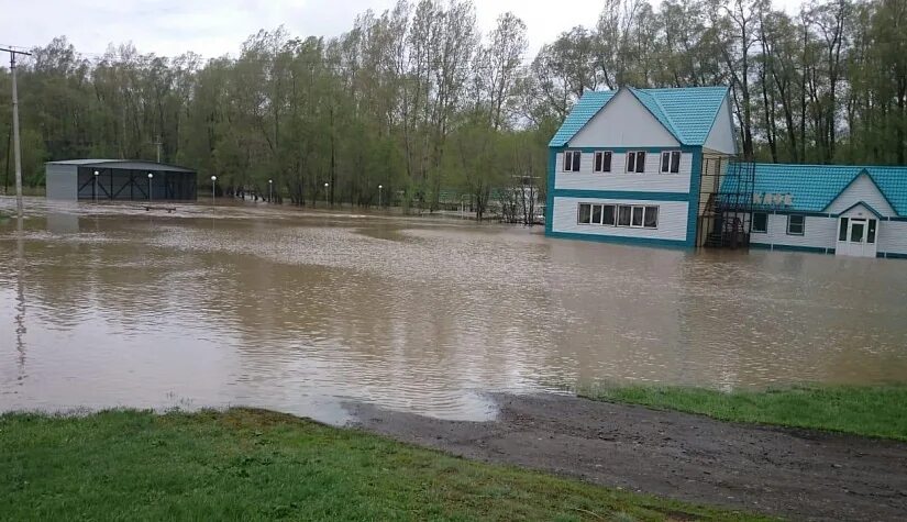 Погода в краснощеково алтайского края на 14. Краснощеково Алтайский край. Краснощеково Алтайский край потоп 2014. Село Краснощеково Алтайский край. Краснощеково Алтайский край потоп.