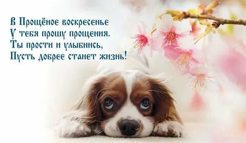 Прощен мр3