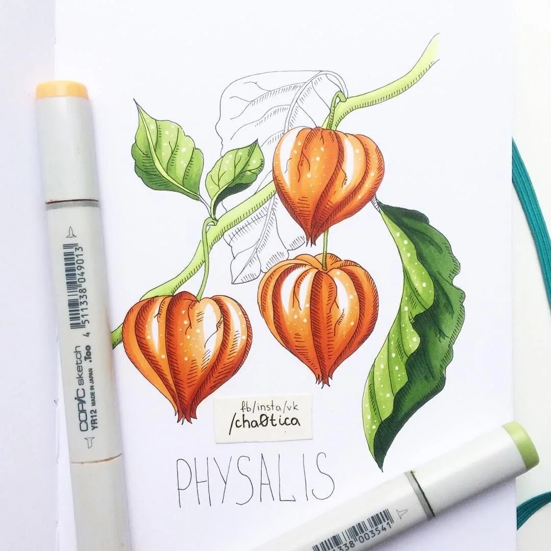 Маркеры для рисования. Маркеры для скетчинг. Фломастеры для скетчинга для начинающих. Рисунки маркерами для начинающих. Фломастеры для скетчинга для начинающих.