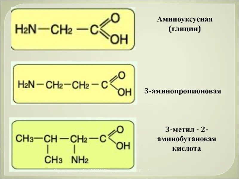 2 Метил 2 аминопропионовая кислота. Аминоуксусная кислота глицин. Аминоуксусная кислота формула. 2 Аминоуксусная кислота. 1 3 аминобутановая кислота