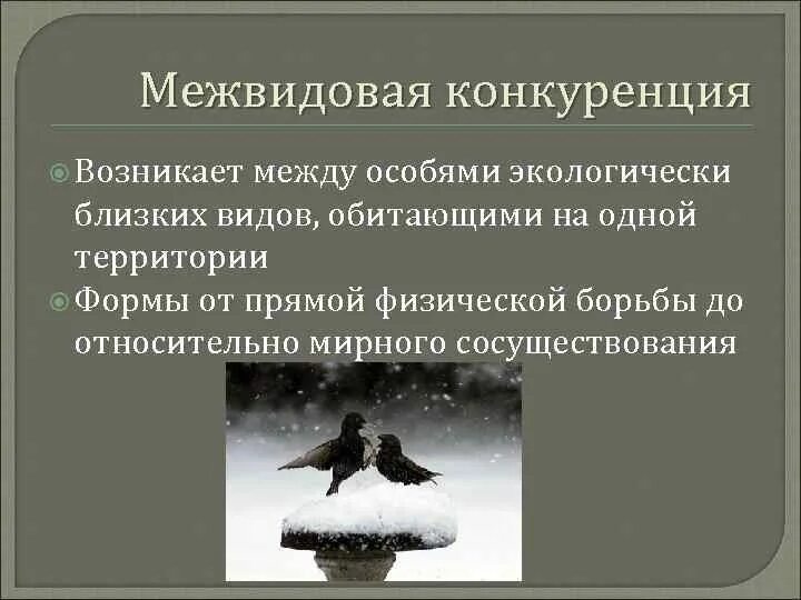 Примером межвидовой конкуренции являются