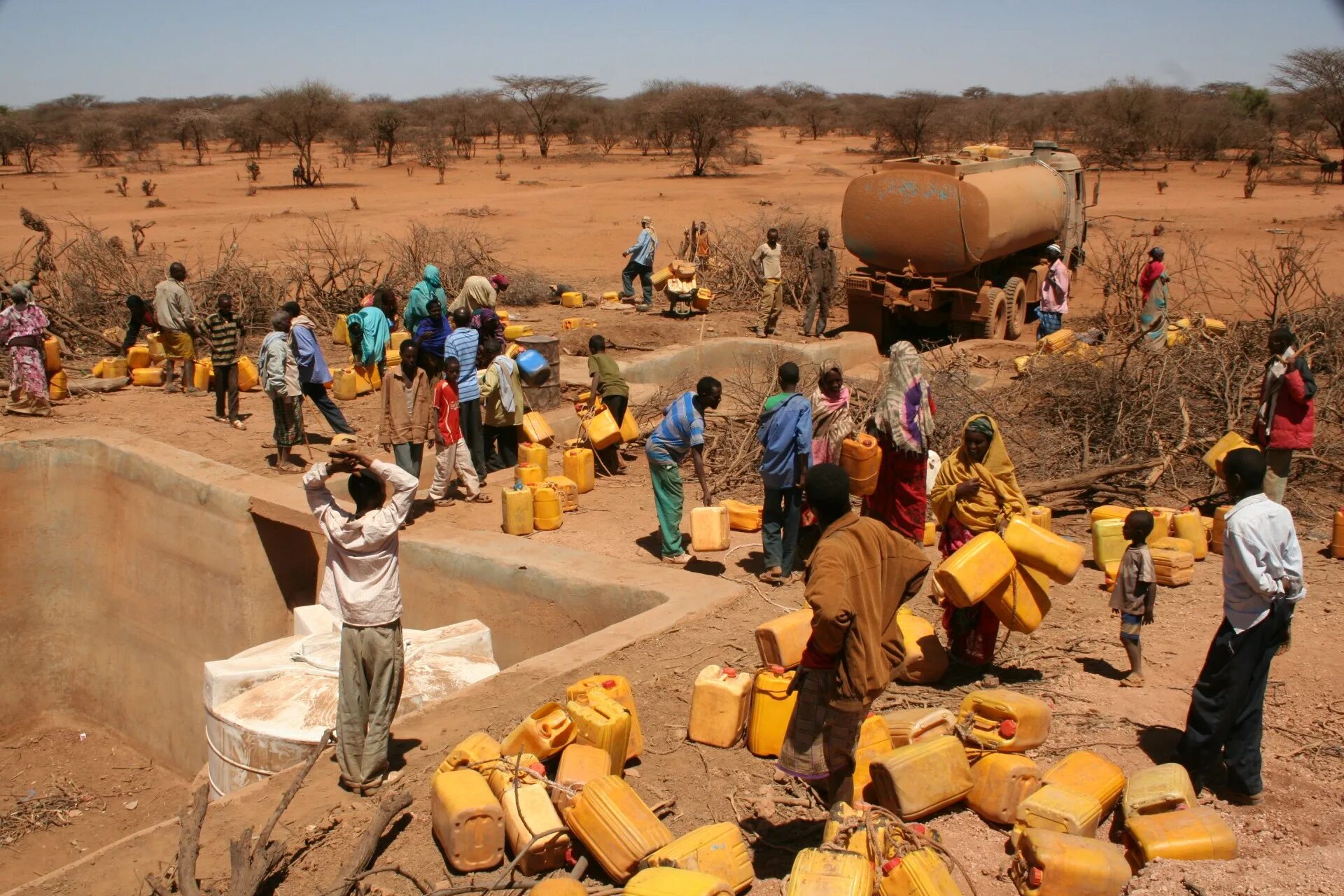 Экономика Африки. Экологическая ситуация в Эфиопии.