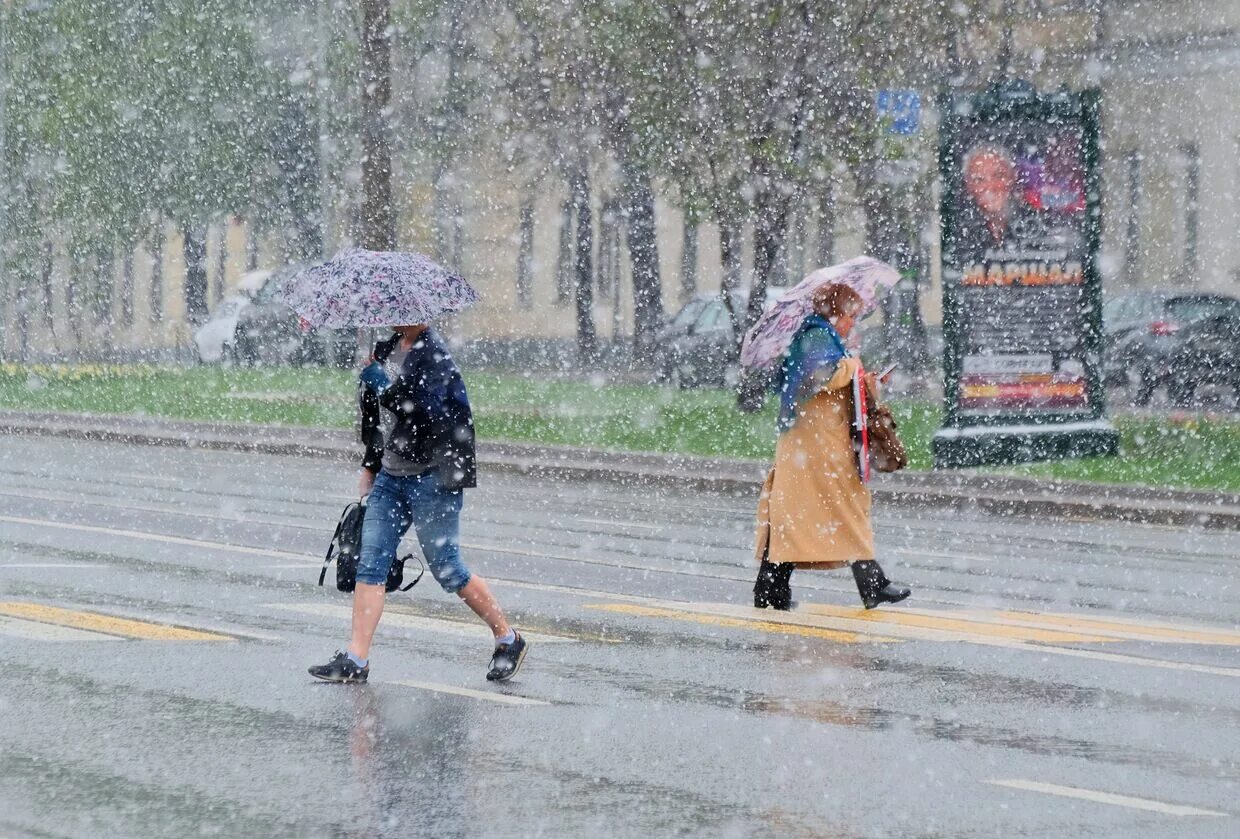 Холодное лето в москве. Снег летом. Снег летом в России. Снегопад летом. Мокрый снег в мае.