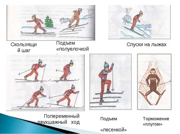 Картинки СООБЩЕНИЕ НА ТЕМУ ЛЫЖНАЯ ПОДГОТОВКА
