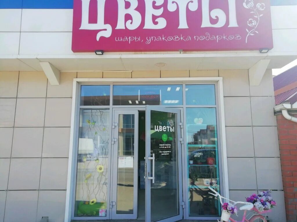 Цветочные магазины краснодар микрорайон молодежный. Карта интернета краснодар. Рашпилевская 263. Виттерра-юг логотип. Ленина 63 краснодар.
