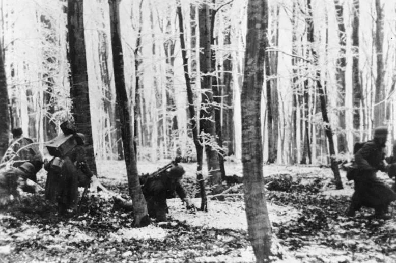 Синявинские высоты 1943. Партизаны белоруссии 1941. Окопы в лесу. Лес в годы великой отечественной. Лес в годы великой отечественной.