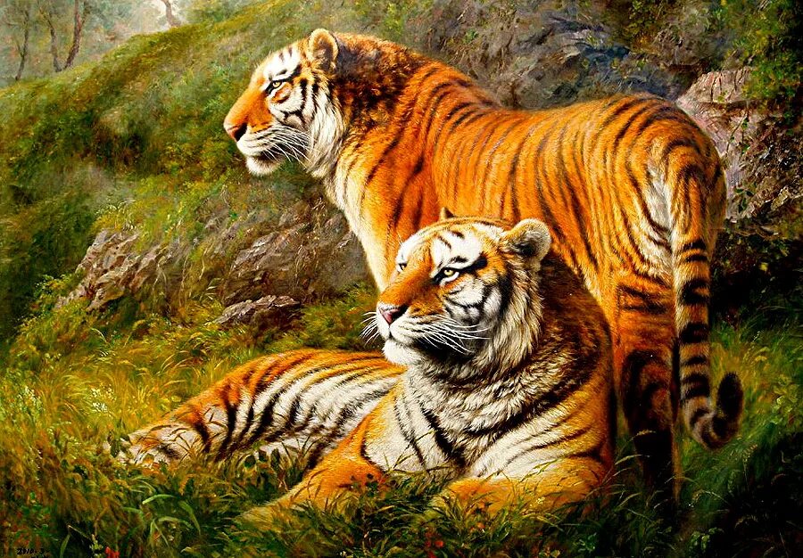 два тигра. пара тигров. тигры любовь. тигр 2 p. тигрица.