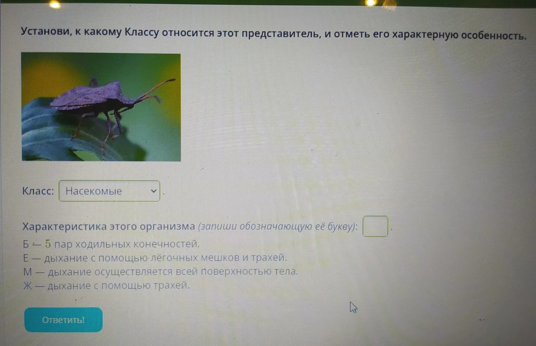 Установите какому классу. Установите какому классу
