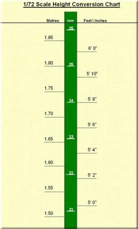 Scaling heights. Height шкала. Шкала футов. Шкала роста человека. Height in inches.