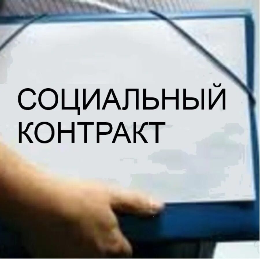 Социальный контракт. Социальный контракт поиск работы. Социальный контракт для безработных. Социальный контракт по поиску работы.