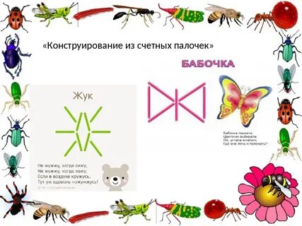Насекомые цель старшая группа
