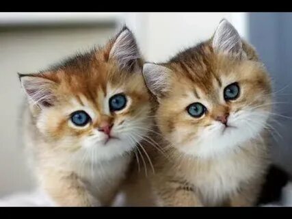 Табиғаттағы жалаңаш адамдарды қараңыз