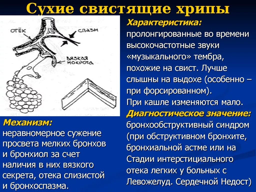 Хрипы при форсированном выдохе. Сухие свистящие хрипы при форсированном выдохе. Сухие хрипы при форсированном выдохе. Хрипы в легких при выдохе у взрослого. При кашле свист при выдохе