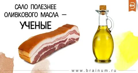 Предложения салом