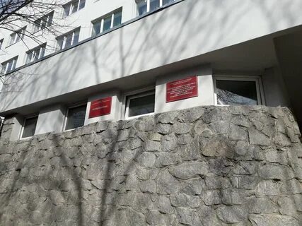 Колледж выборг