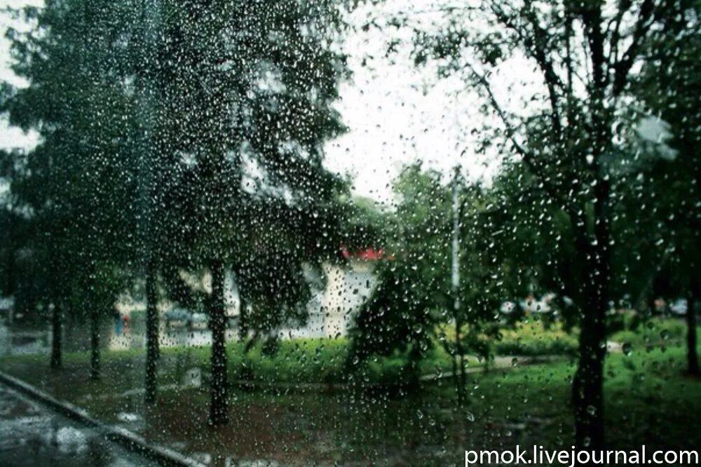 Включи станцию дождь. Лето непогода картина. Дожди в Москве идут дожди песня. Где меньше всего идут дожди. Мир Канопус идёт дождь.