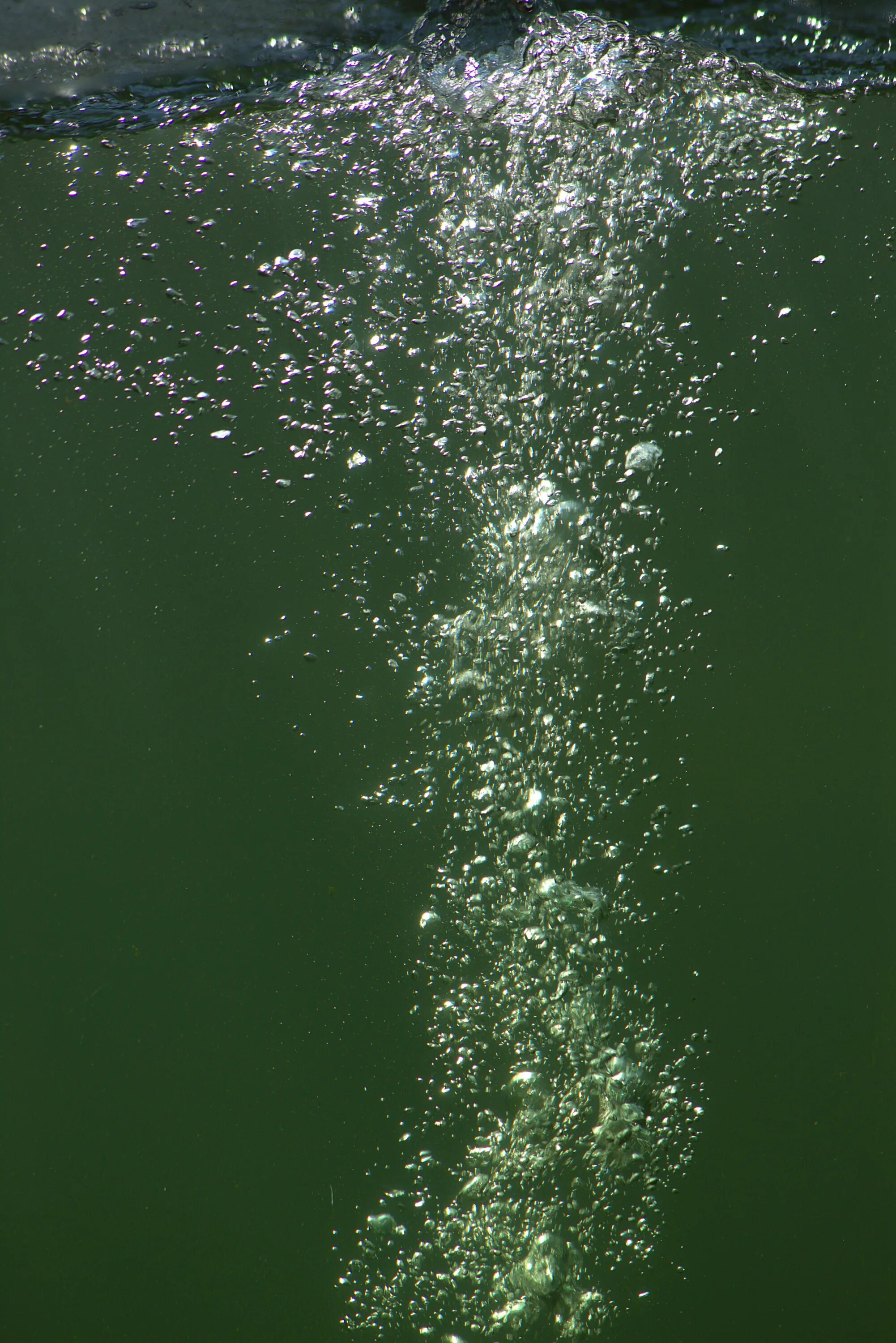 Оттуда в пляшущем свете факела поднимались пузырьки. Пузырьки в воде. Пузырьки под водой. Водяной пузырь. Пузыри воздуха под водой.