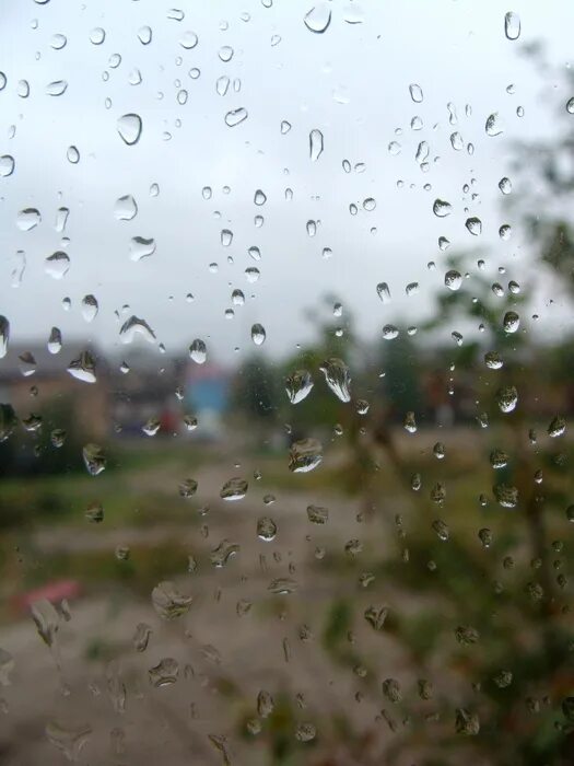 летний дождик. летний дождик. мелкий дождь. дождливая весна. сильный дождь.