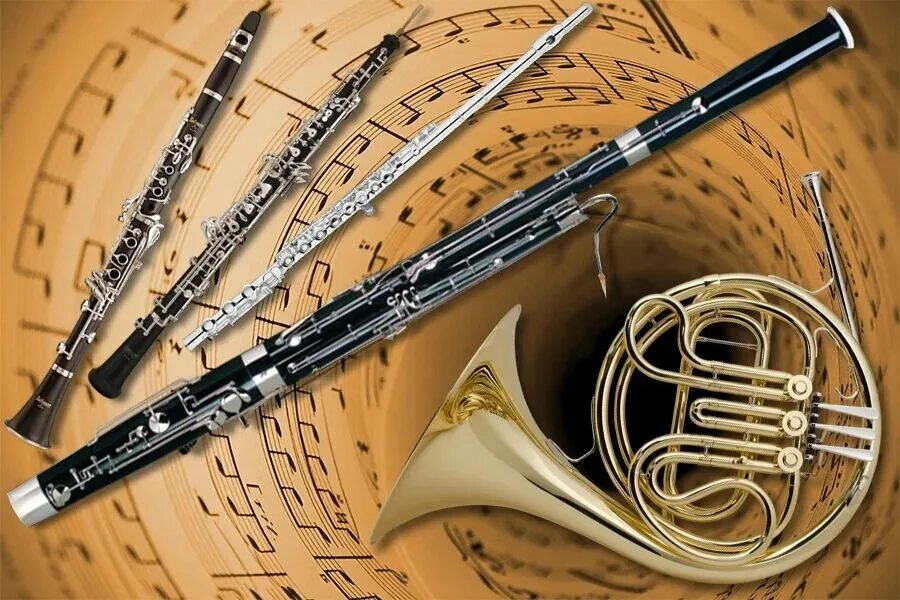 Саксофон флейта кларнет. Гобой валторна флейта кларнет. Валторна деревянный духовой музыкальный инструмент. Валторна гобой кларнет Фагот флейта. Скрипка ударные