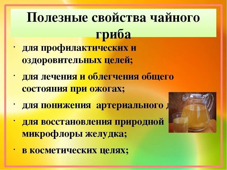 Чем полезен чайный гриб. Чайный гриб полезные свойства. Чайный гриб польза. Чайный гриб полезные качества. Какими полезными свойствами обладают