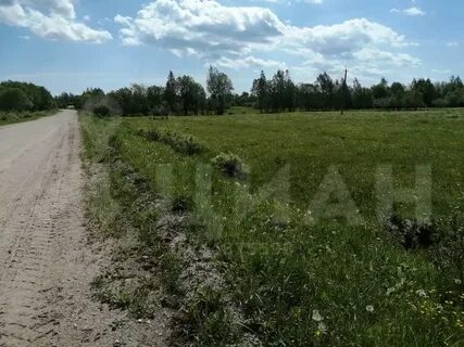 Пахотная горка новгородская область