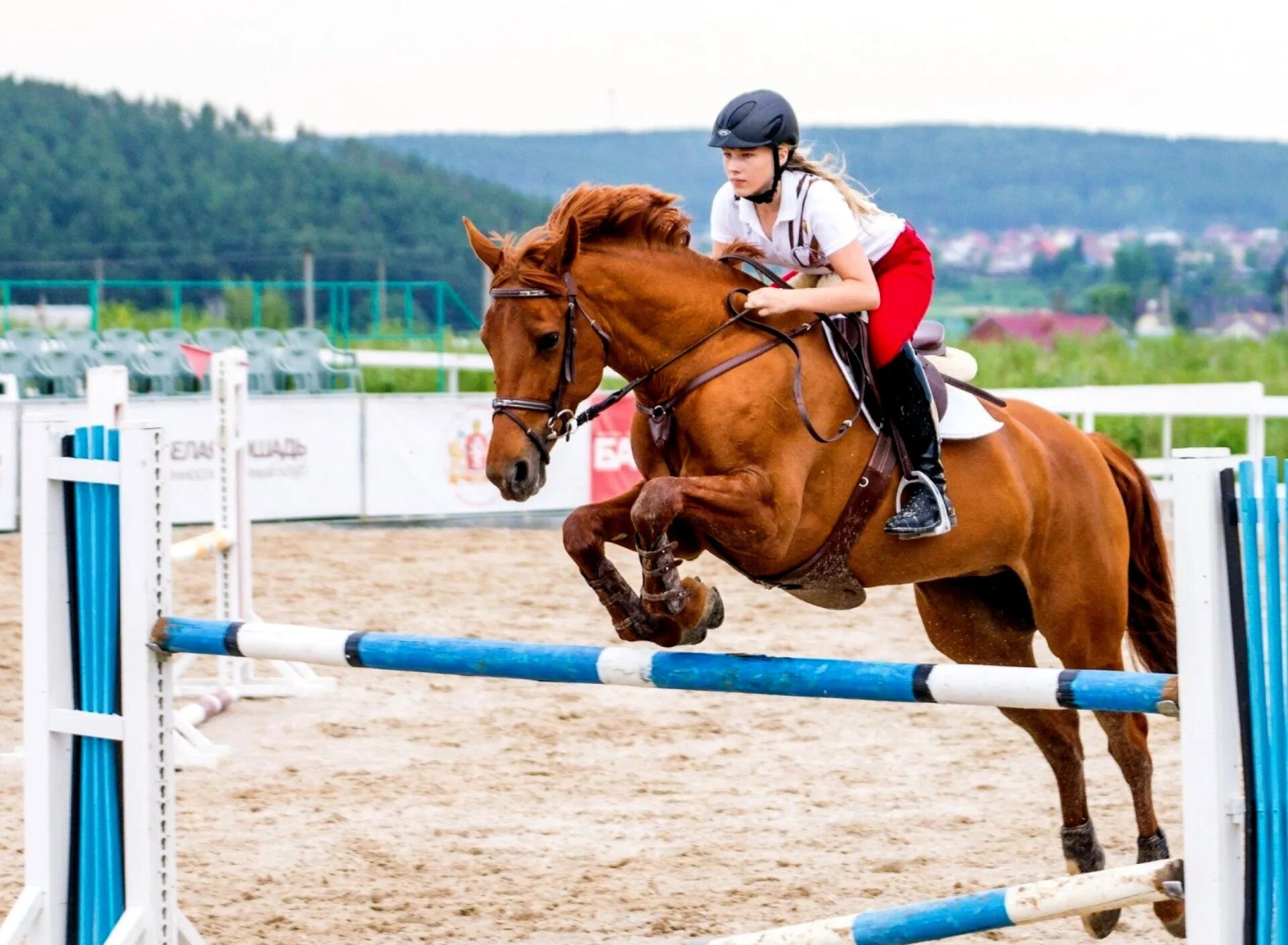 Спорт Хорс райдинг. Скачки на лошадях. Лошади спорт. Прыжки на лошади через барьер. Кони вид спорта