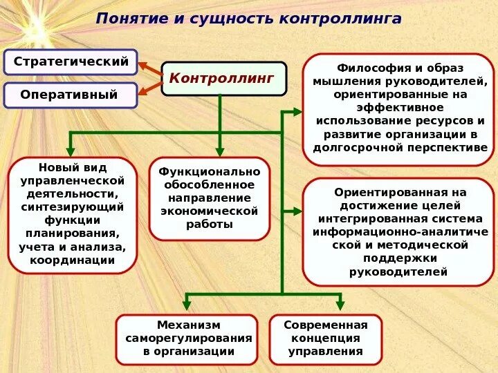 Сущность понятия мониторинг. Сущность понятия контроллинга. Стратегический контроль и контроллинг. Этапы оперативного контроллинга. Контроллинг на предприятии.