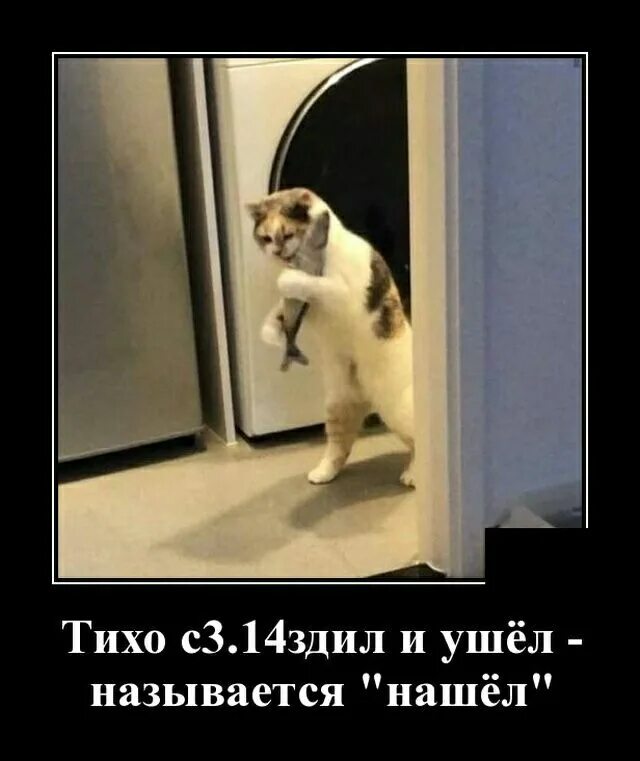 Тихо называется. Тихо и ушел называется нашел. тихо стырил и ушёл. тихо спиздел и ушёл называется нашёл. демотиваторы 18.