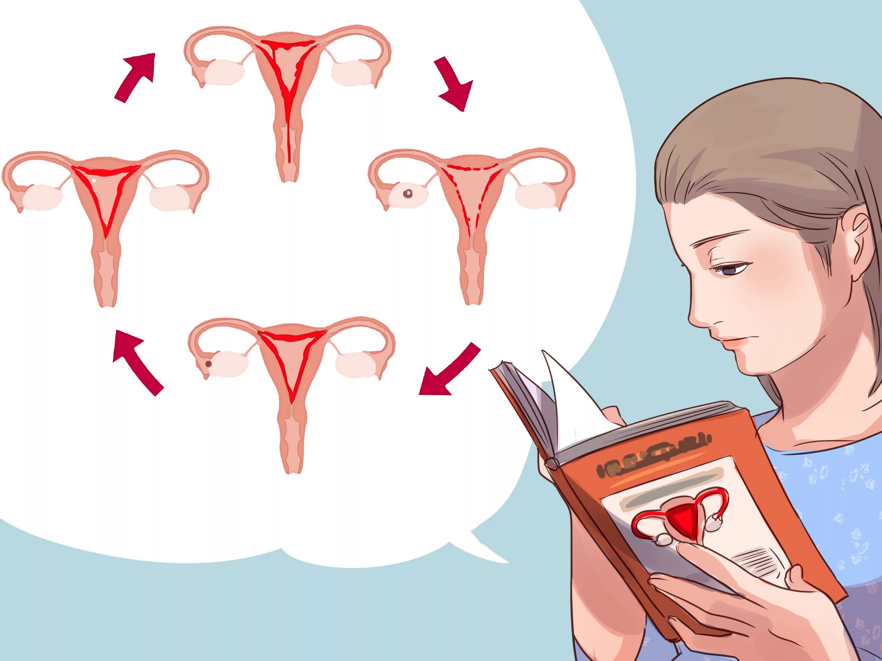 Менструальный цикл ПМС. Менструальное кровотечение. Нарушение менструационного цикла. Нарушение менструального цикла картинки. Пошла кровь после родов
