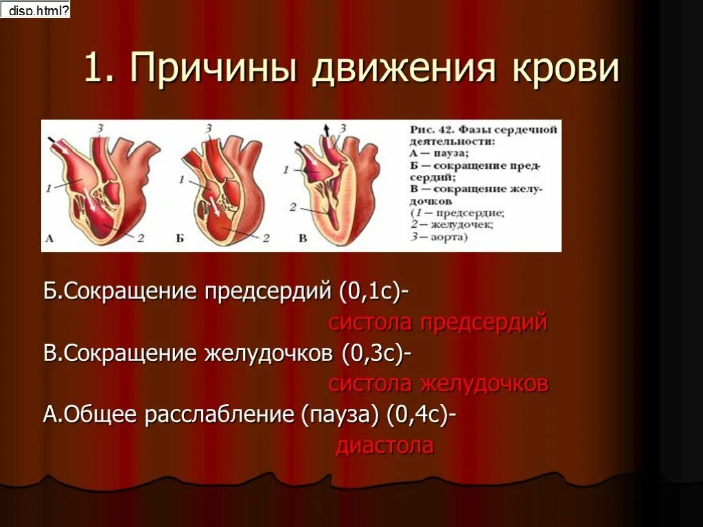 Кровь движется из предсердий в желудочки. Движение крови по сосудам. Движение крови по сосудам 8 класс. Причины движения крови по сосудам. Презентация движение крови по сосудам.