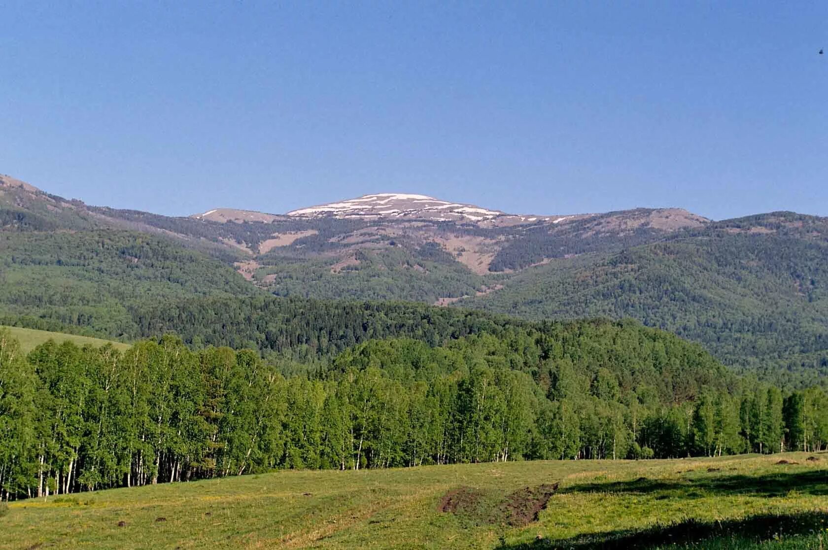 Село ело алтайского края. Гора Будачиха Солонешенский район. Гора Бутачиха Алтайский край. Алтайский край горы Солонешенского района. Гора Будачиха.