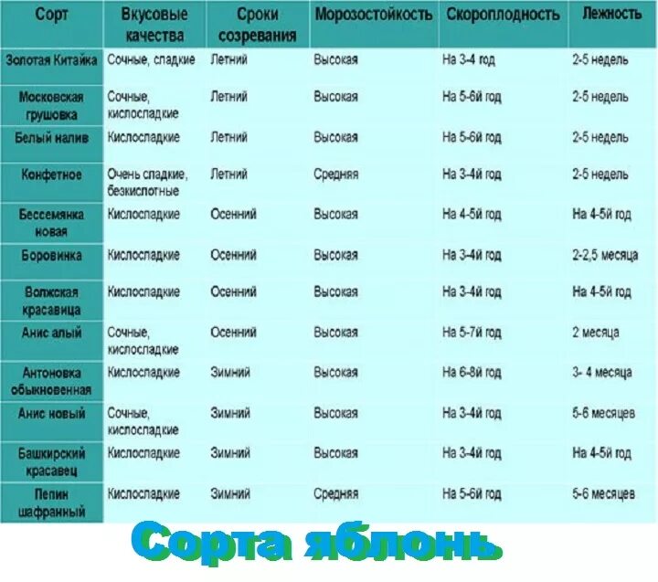 Сроки созревания яблони. Сорта яблок таблица. Сорта яблок по срокам созревания таблица. Сравнение сортов яблонь таблица. Сроки созревания яблок.