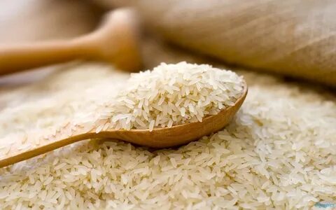 Japponica Rice