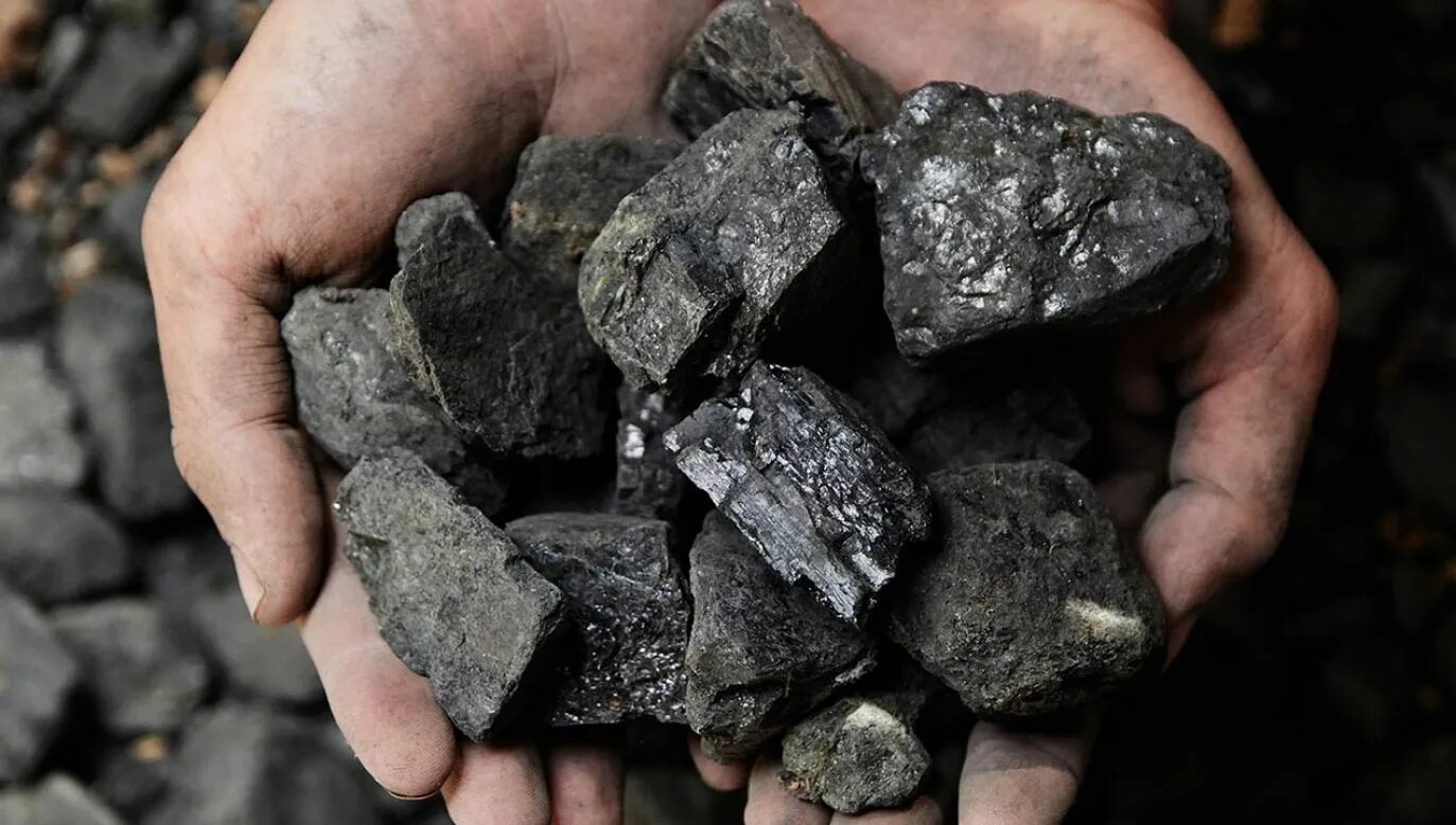 Горючие природные ресурсы. Каменный уголь. Полезные ископаемые. Полезные ископаемые уголь. Полезные ископаемые каменный уголь.