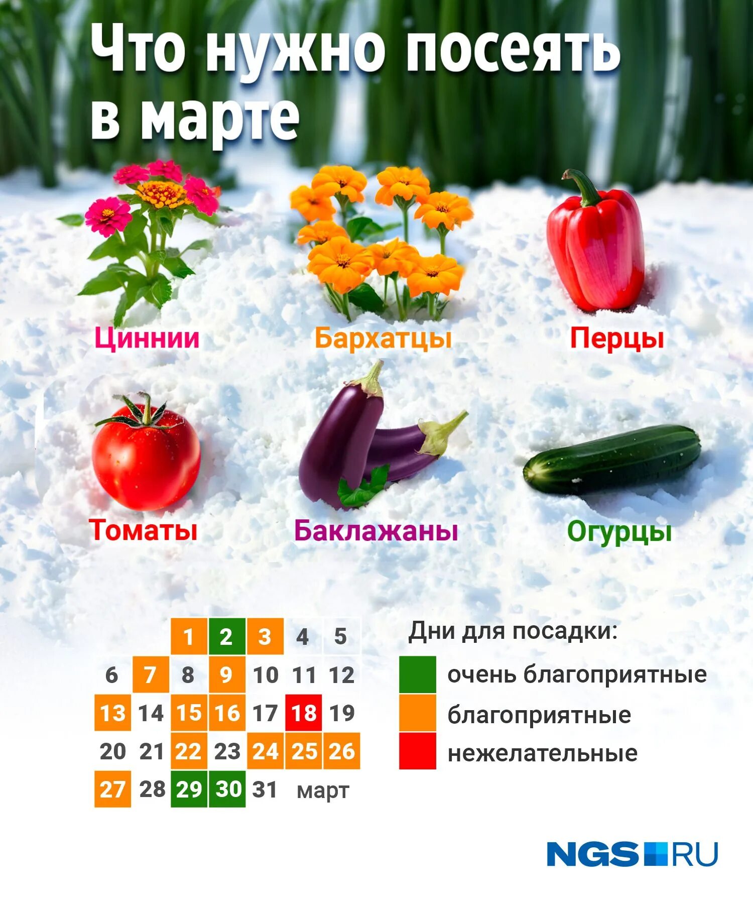 Когда сеять помидоры в апреле 2024 года. Посадка томатов на рассаду в марте. Перец посадка на рассаду в марте. В марте посадка томатов и перца. Благоприятные дни для посадки рассады в марте.