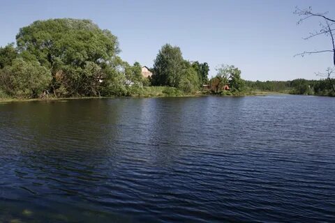 Новоселки ярославль